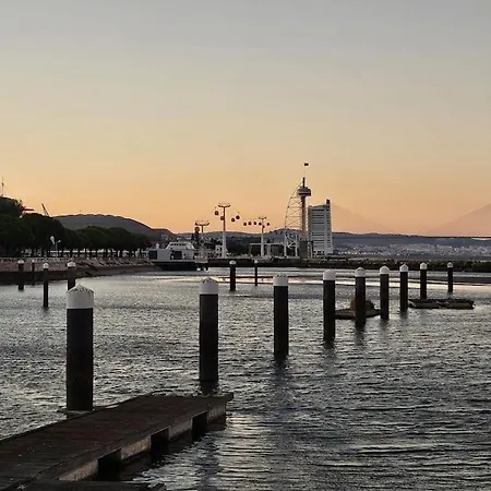 船屋 Boat Speedboat O Thor